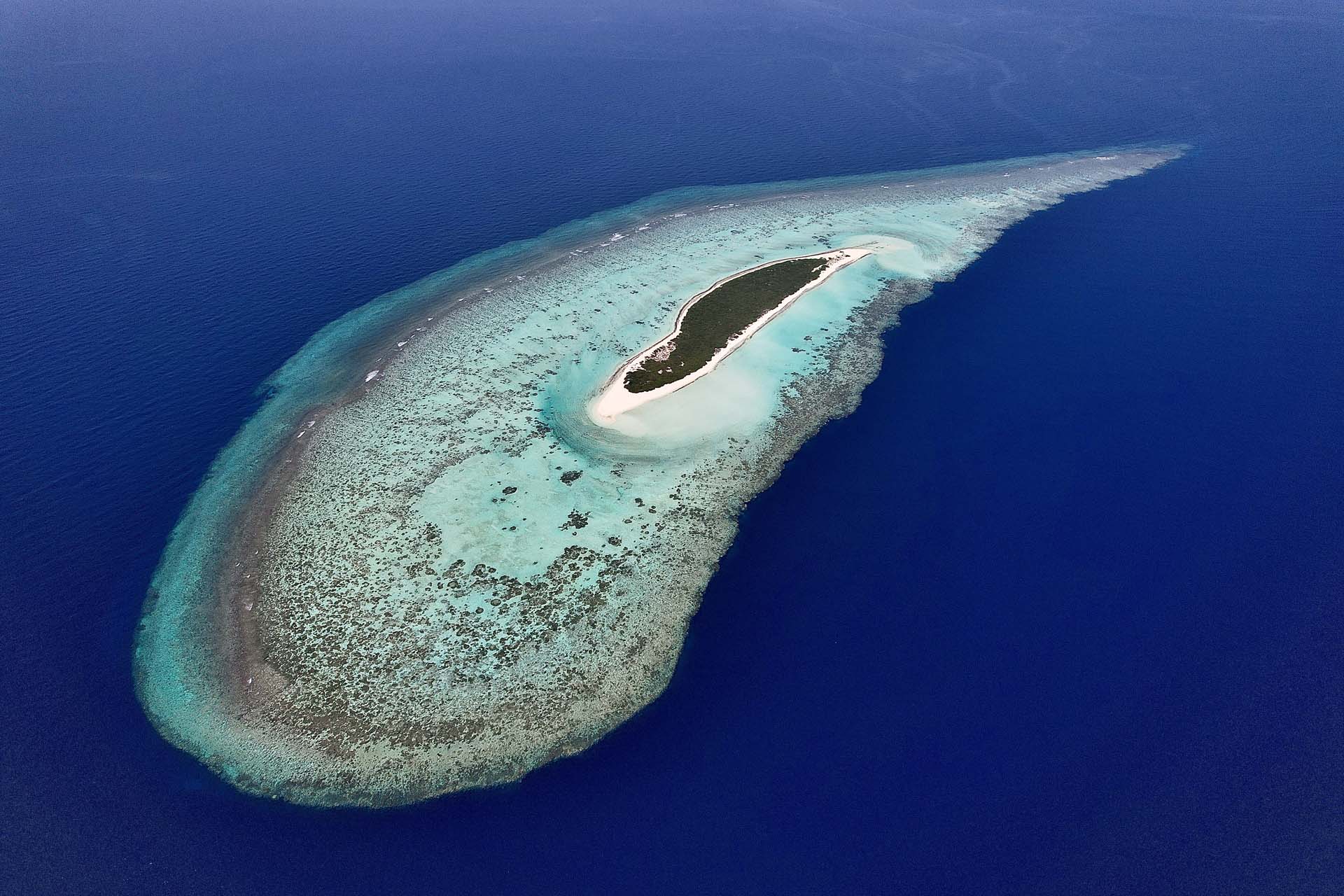 Immagine Farasan Banks 