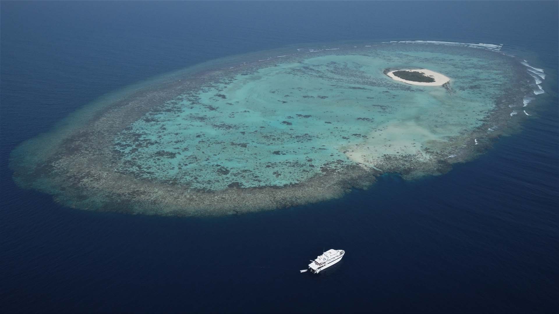 Immagine Farasan South Explorer