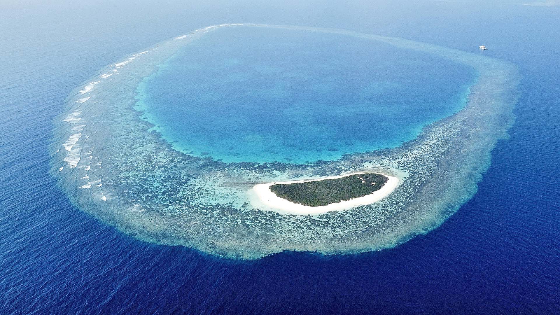 Immagine Farasan South Explorer 