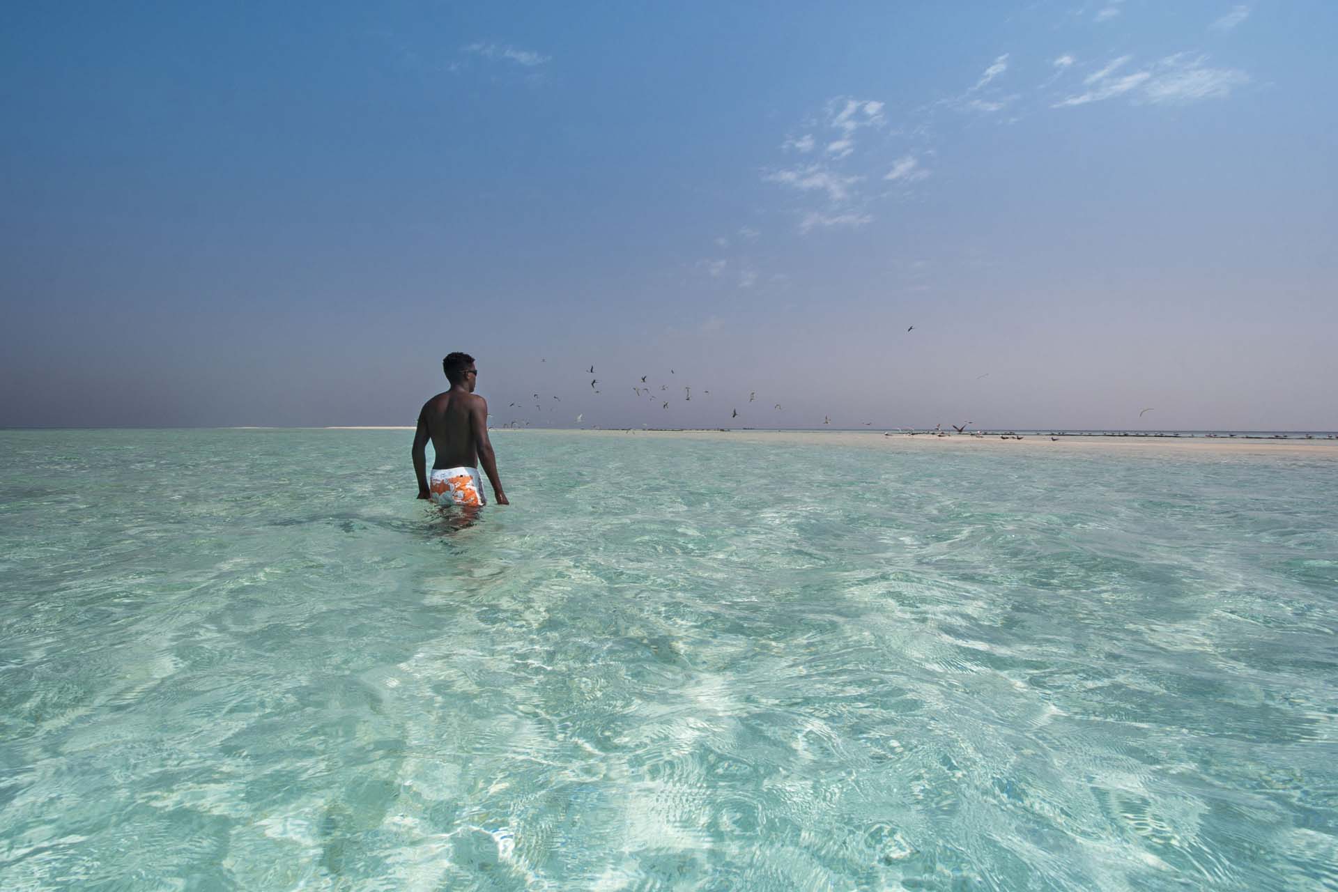 Immagine Farasan  Jeddah 