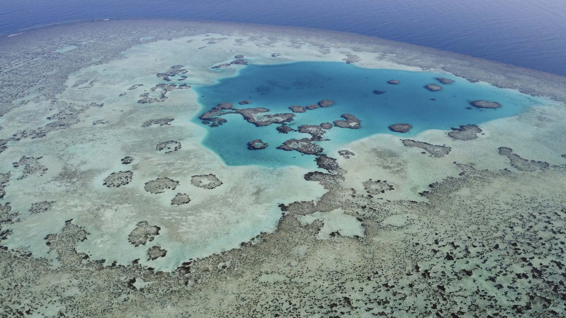 Immagine Seven Reefs