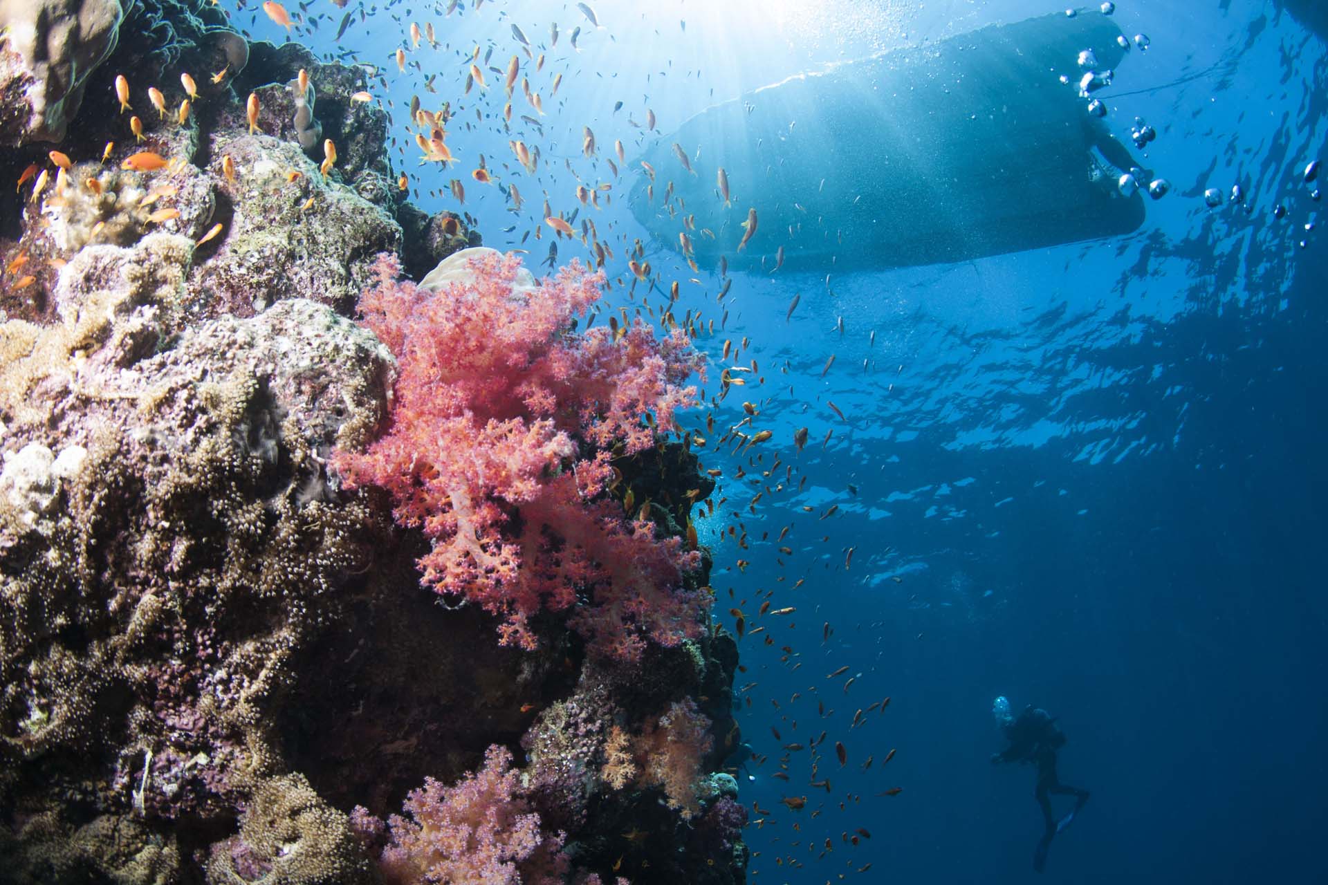 Immagine Seven Reefs 