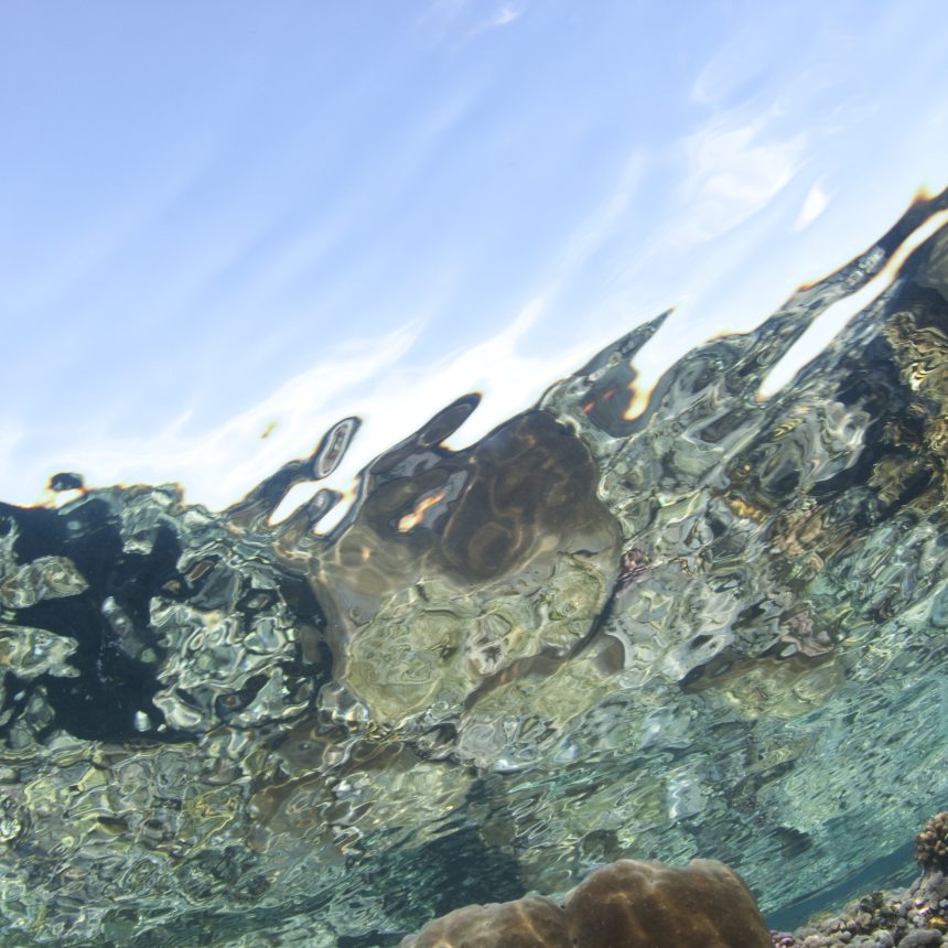 Immersioni Elba nord
