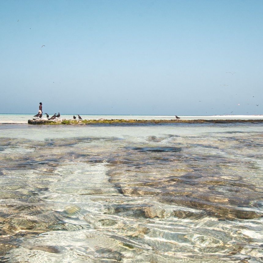 Immersioni Gezira el Ahlam sud