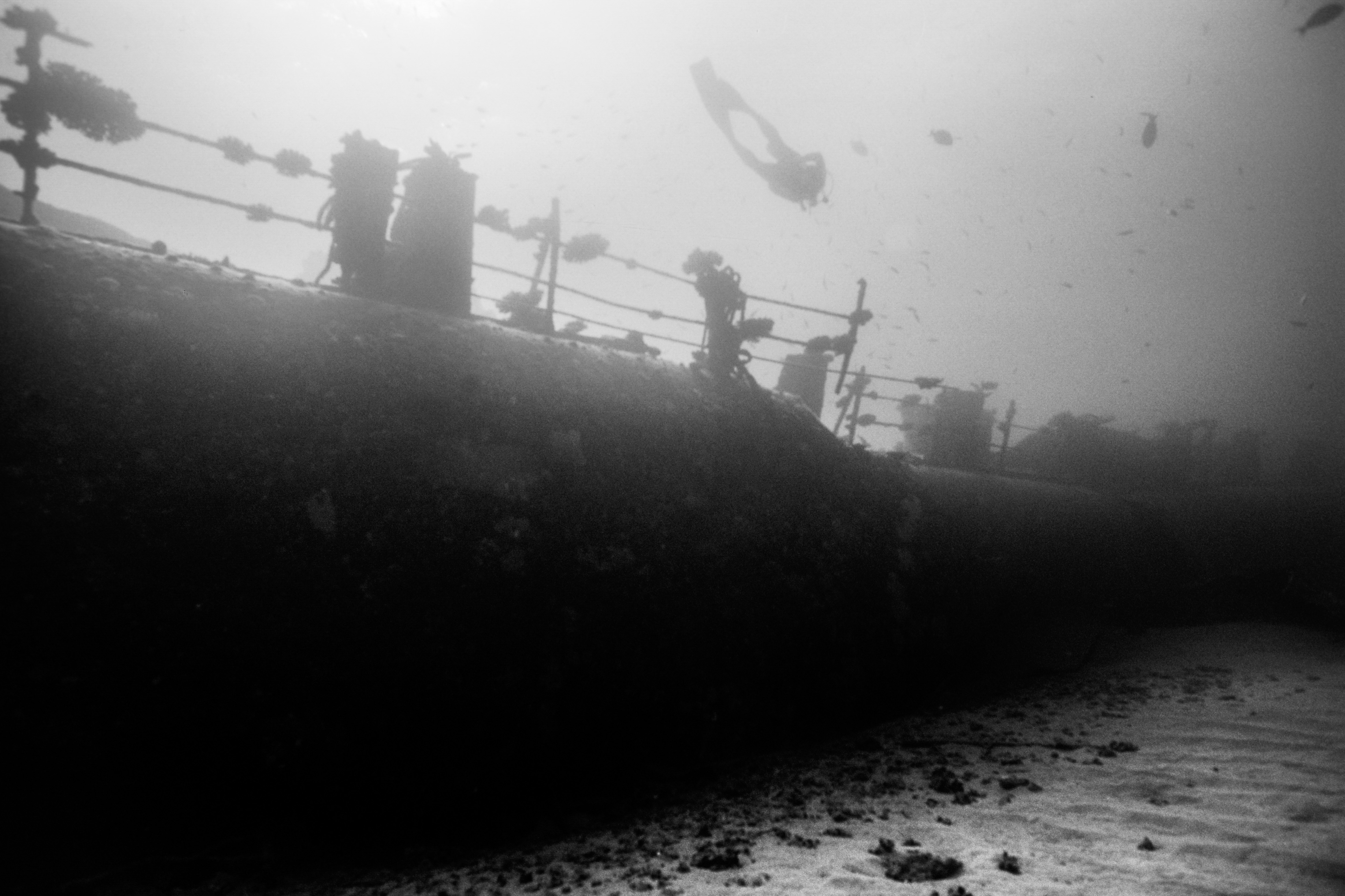 Relitti Ann Ann