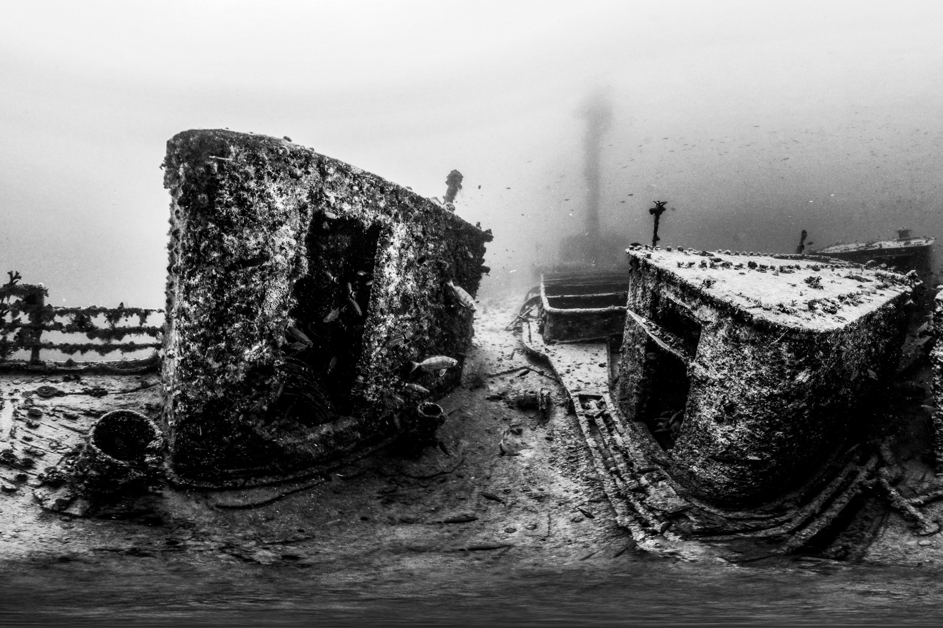 Immagine del viaggio