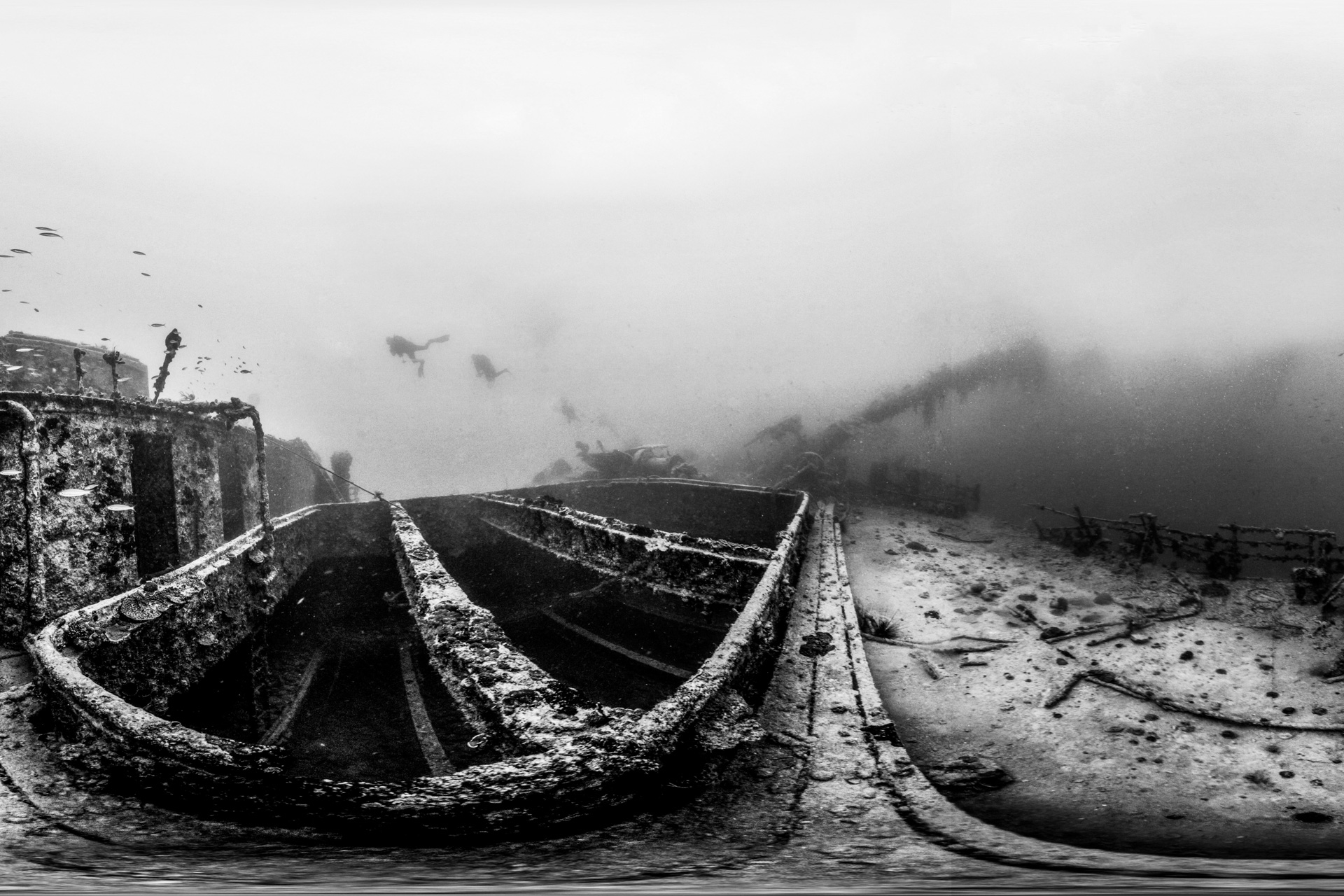 Immagine del viaggio