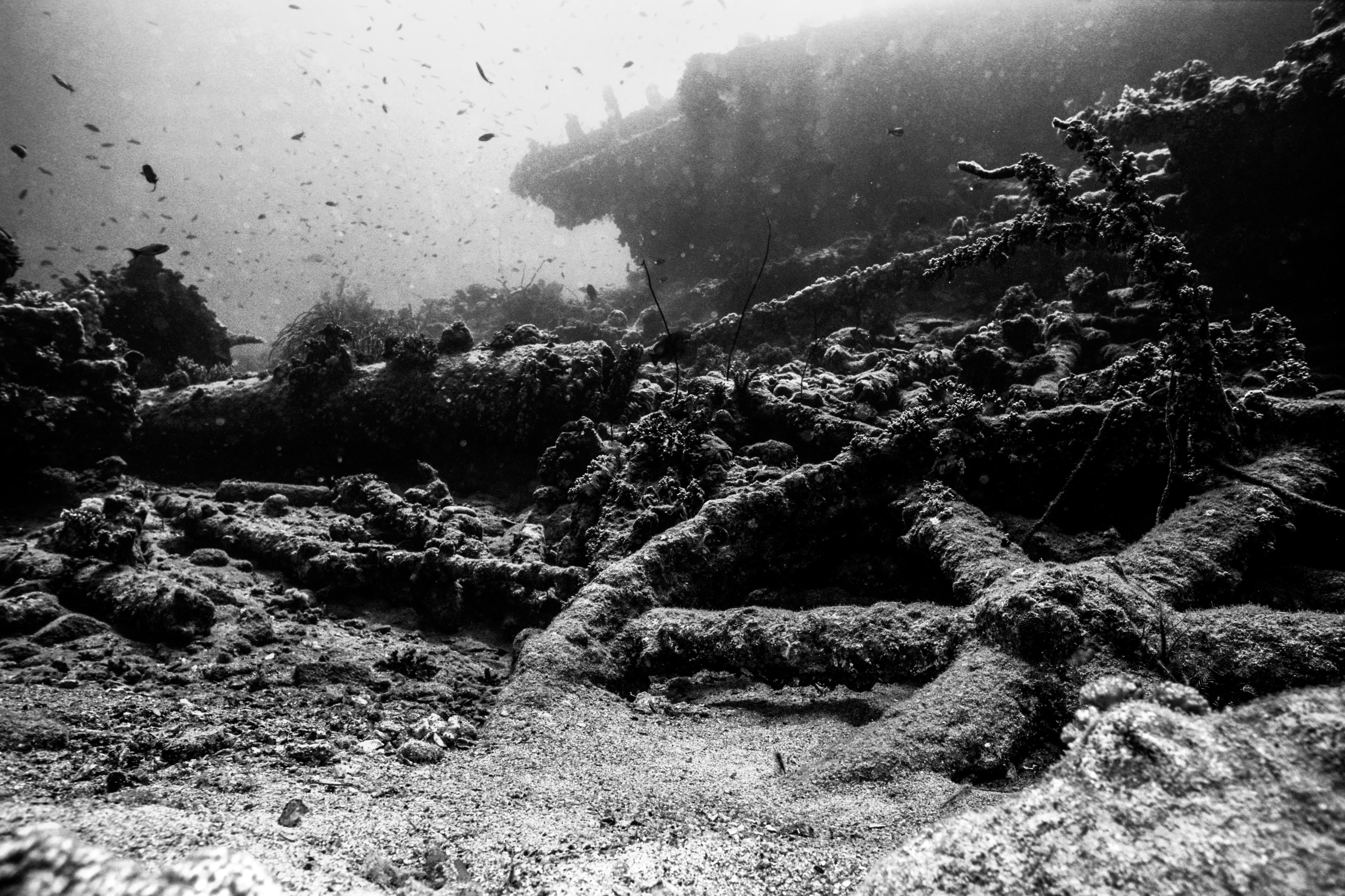 Relitti Ulysses