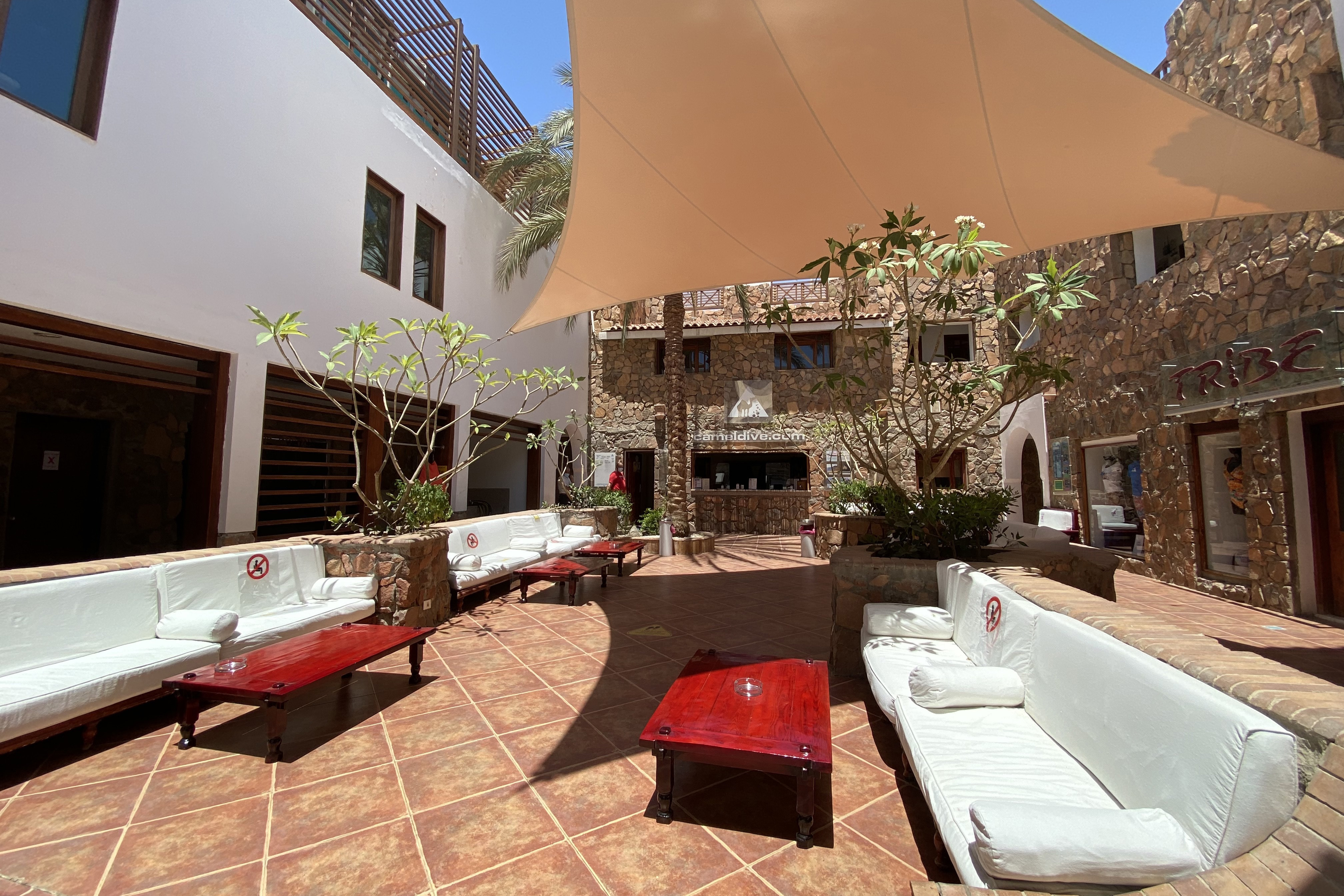 Immagine Camel Dive Club & Boutique Hotel 