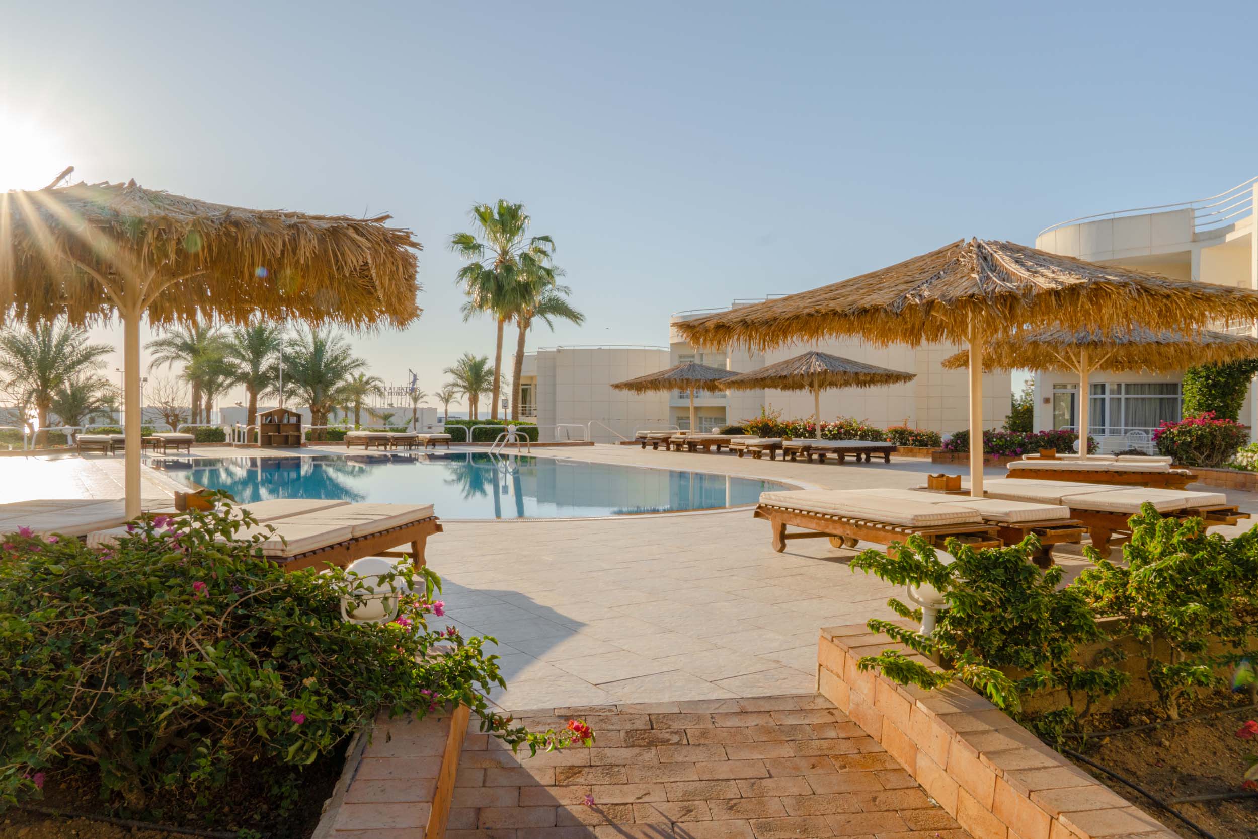 Immagine Sharm Reef Hotel 