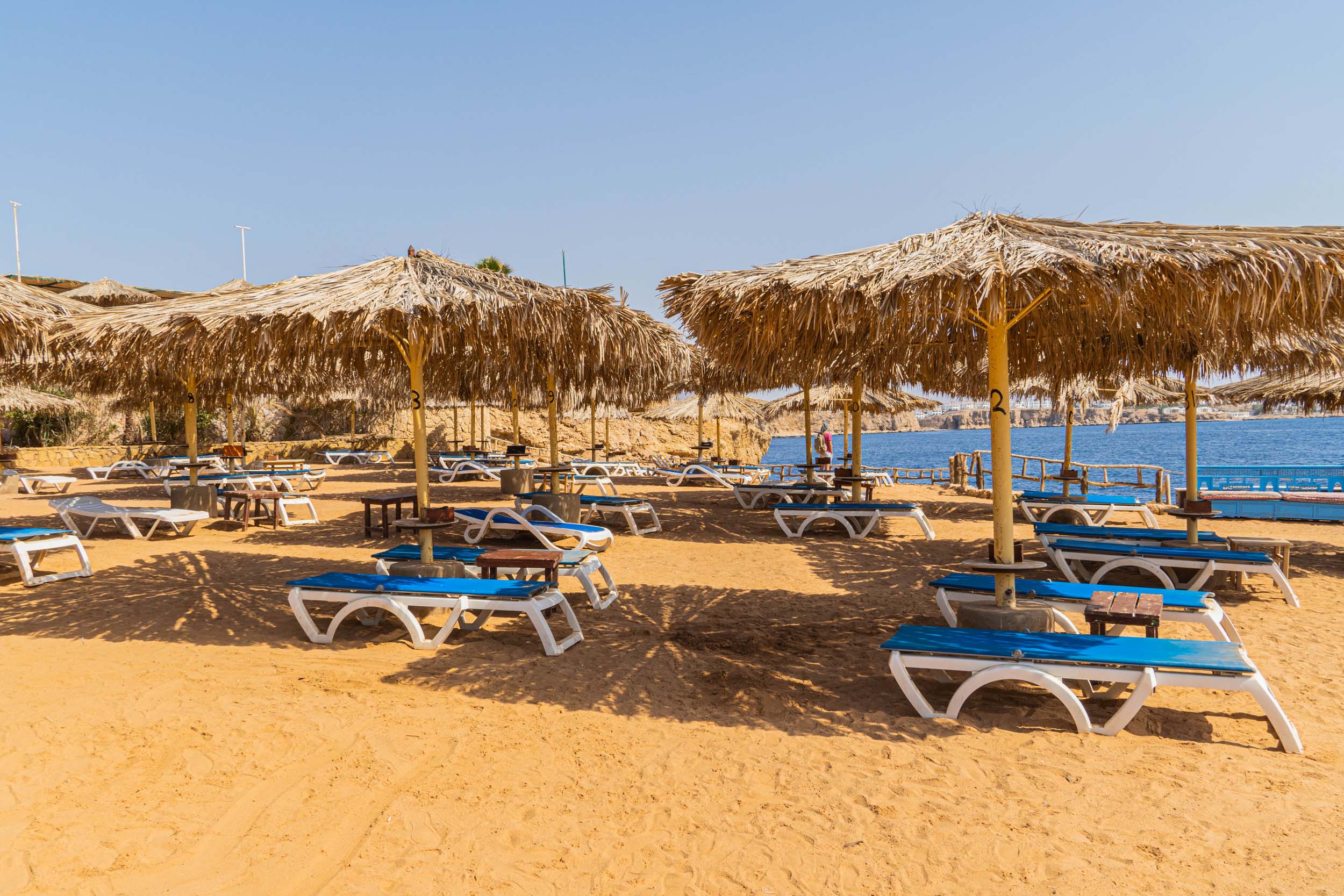 Immagine Sharm Reef Hotel 