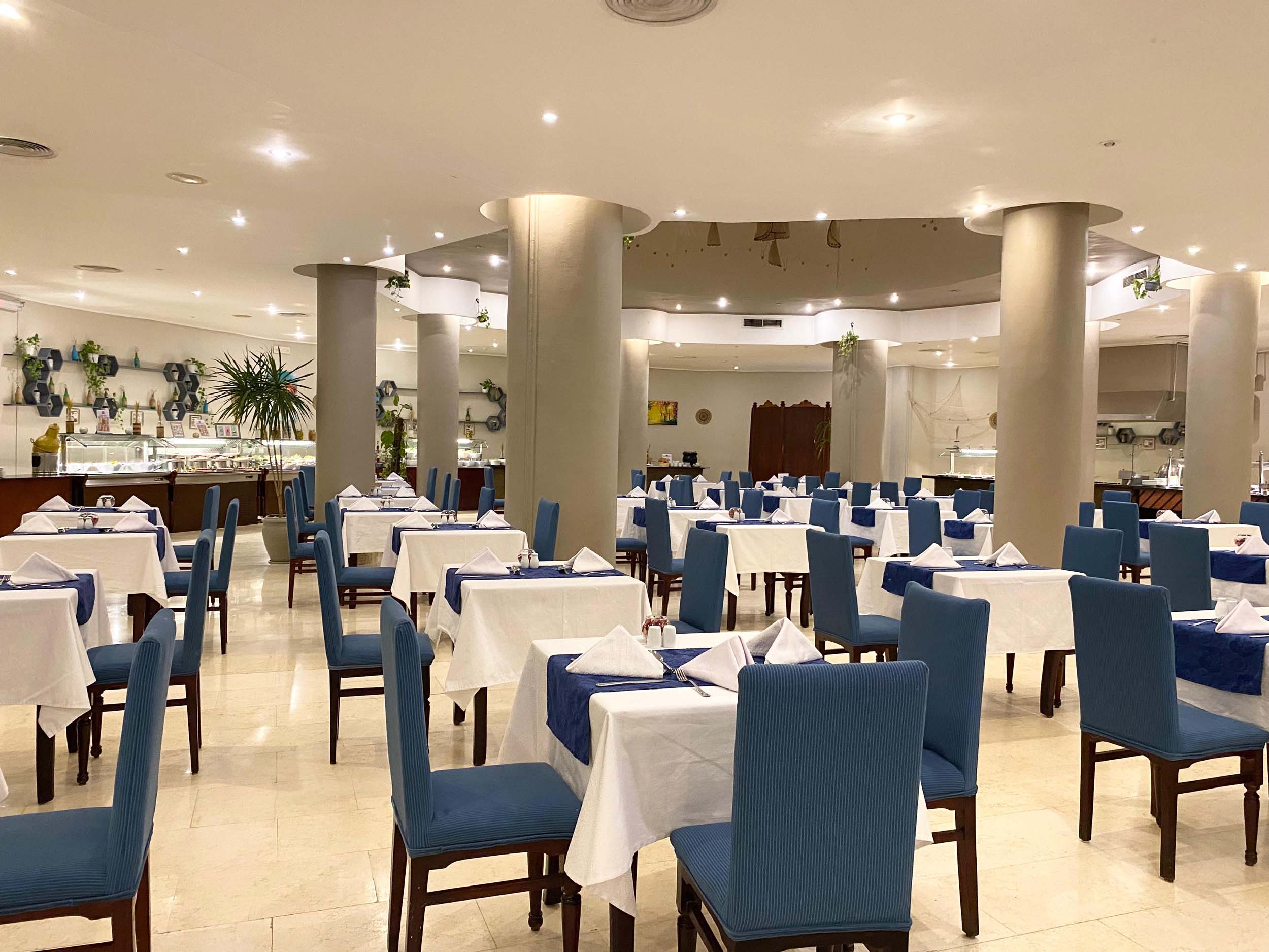 Immagine Sharm Reef Hotel 