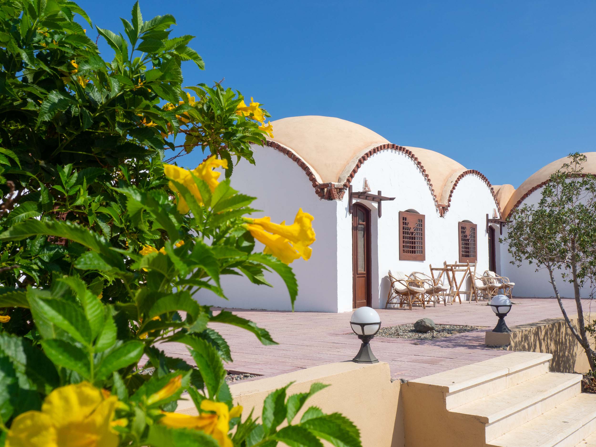 Immagine Wadi Lahami Eco Resort 