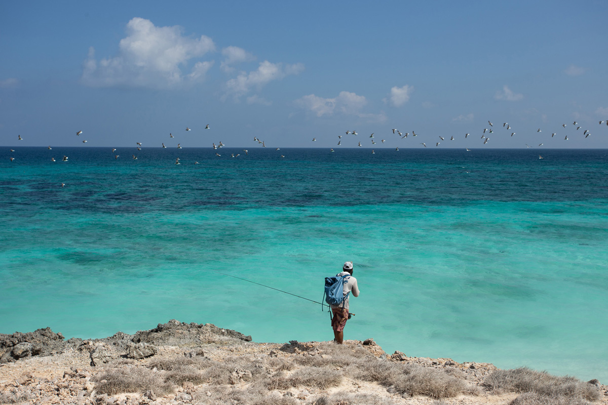 Immagine Socotra 